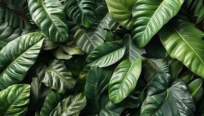 Tropical Leaves Texture from Above: A Lush Generative AI Background