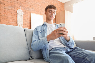 Young man using mobile phone on grey sofa at home