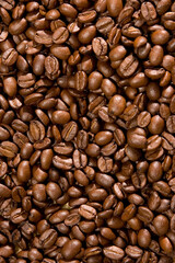 Brown coffee beans for background and texture