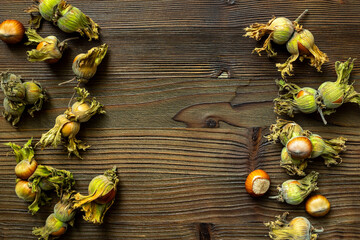 Wall Mural - Fresh filbert nuts or hazelnuts with leafy shells, top view