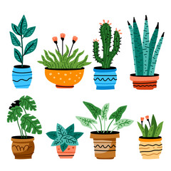 Wall Mural - Potted plants set. Interior houseplants in planters, baskets, flowerpots. Home indoor green decor. Different succulents, cacti, foliage. Flat graphic vector