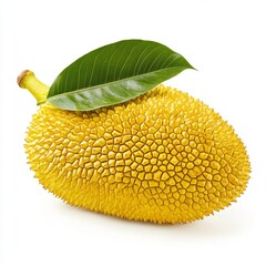 Black and white photograph of ripe jackfruit with leaves