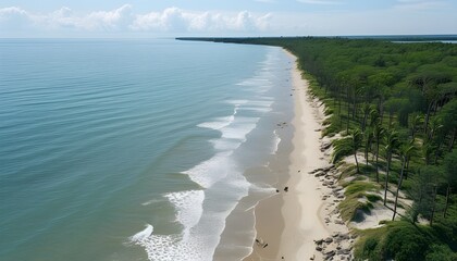 Elevated Panorama of Trees, Sandy Beach, and Azure Sea