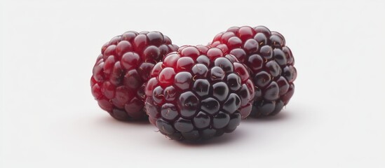 Wall Mural - Three Blackberries on White Background