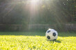 © Wavebreak Media - Soccer ball resting on grass in sunlight, ready for outdoor play, copy space