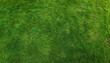 © Uuganbayar - Lawn grass texture background. Top view from drone.