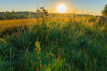 Wall Mural - Fresh fallow land as sunbursts over horizon The Cotswolds,