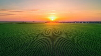 The green field stretches toward a village on the horizon, set against a vibrant gradient sunset sky. Perfect for serene rural scenes