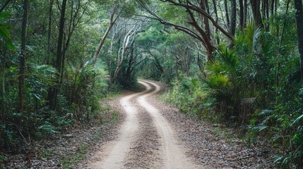 Wall Mural - The sandy bush track cuts through a dense forest, leading into the heart of the wilderness, perfect for rugged exploration