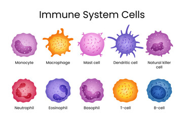 Mapping Immune Cell Types and Traits