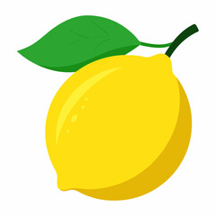 Wall Mural - lemon vector illustration 