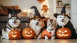 © F - Pet-friendly Halloween costumes feature adorable dogs dressed as pumpkins and charming cats dressed as witches, creating a cute and family-friendly atmosphere that embraces trendy celebrations