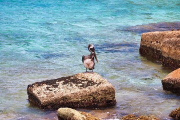 Sticker - Bonaire, Dutch Antilles