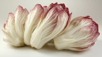 Canvas Print - Close-up of Fresh Radicchio