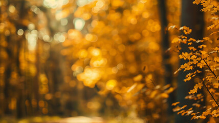 Wall Mural - the background is an autumn park, a blurred backdrop of yellow trees