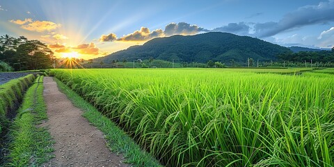 Sticker - landscape with grass and mountains