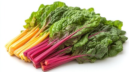 Sticker - Rainbow Chard