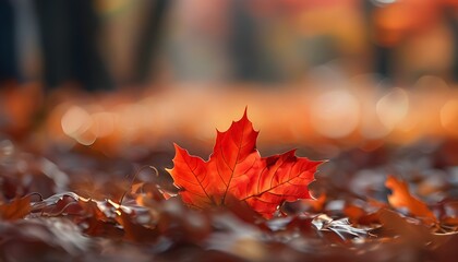 Dreamy autumn scene featuring a close-up of a red maple leaf on a ground of fallen leaves with enchanting bokeh lights and ample copy space for creativity