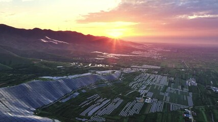 Wall Mural - view of solar power panels on hill