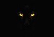 © Giuseppe Cammino - Black panther eyes background, wild cat animal face in night, yellow eyeballs in dark. Black panther eyes glow look in macro closeup, wildlife cheetah, puma or cheetah yellow evil eye