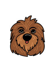 Brown shaggy cute cartoon dog, logo
or sketch of a pet store