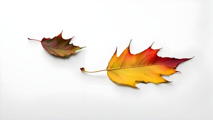 Sticker - colorful fallen leaf