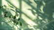 © visoot - Minimalist shadow of a window on the wall, green background, minimalism, blurred, soft light, pastel colors, shadows from plants.