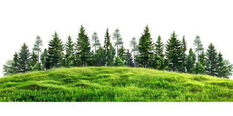 green grass forest with tree on hill panorama landscape isolated on white or transparent png