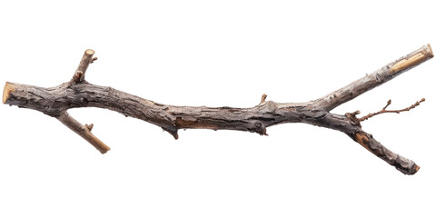 Wall Mural - dry wooden twig isolated on white or transparent png