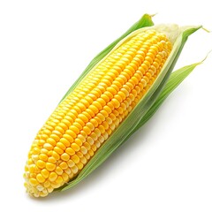 Wall Mural - Isolated white background with fresh corn using clipping path 