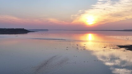 Wall Mural - Migratory birds in winter, sunset at Poyang Lake in Jiangxi