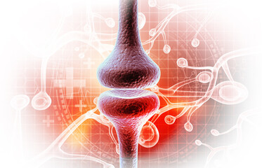 Sticker - Human neuron cell anatomy on scientific background. 3d illustration.