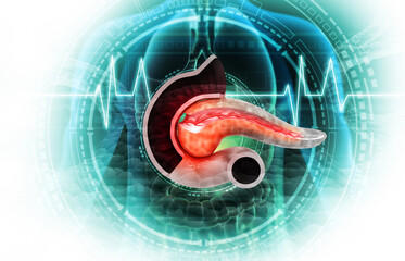 Wall Mural - Human pancreas on ecg medical background. 3d illustration..