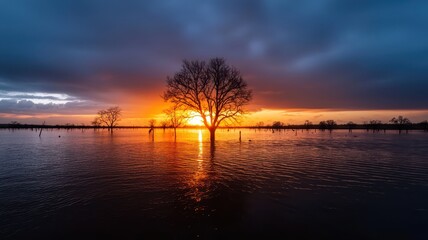 Canvas Print - A serene sunset over flooded land, featuring a solitary tree silhouetted against vibrant orange and dark blue hues in the sky.