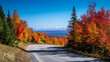 © ShadowHero - A winding mountain road lined with autumn trees, with a clear blue sky overhead