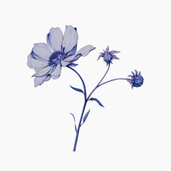 Canvas Print - Elegant blue floral illustration