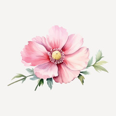 Wall Mural - Delicate watercolor pink flower