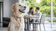 © Sara_P - A joyful dog wagging its tail by a beautifully set dining table food being served family gathered around a spacious and elegant home in the background