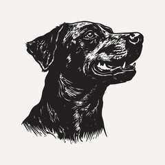 Wall Mural - Detailed black dog illustration