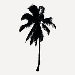 Poster - Silhouette tropical palm tree art