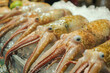 © MVProductions - nice fresh squid on a fish market