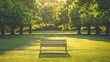 © PoyTumStudio - A serene park scene with a wooden bench on a grass field under the shade of lush green trees, illuminated by golden sunlight.