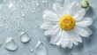 © wikkie - cosmetic gel or serum with chamomile flowers on a gray background.