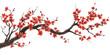© IndigoElf - Tree branch flower sakura on transparent cutout background, PNG file. Mockup clipart template for artwork design