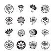 © hp - Set of Cosmos Flower Silhouette Icons, Vector Graphic Elements for Designs