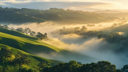 Wall Mural - Serene Morning Landscape with Rolling Hills and Misty Fog at Sunrise