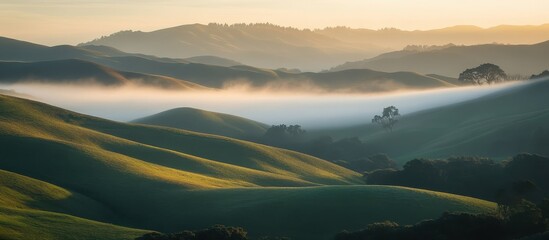 Wall Mural - Serene Morning Landscape with Rolling Hills and Misty Fog at Sunrise