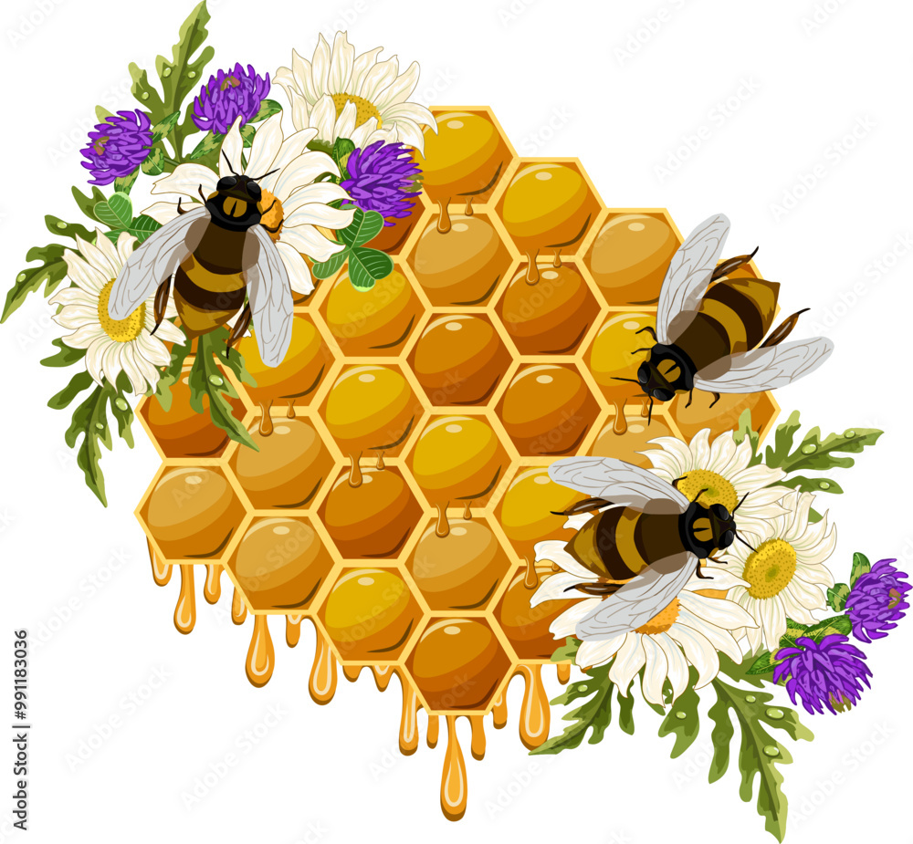 Honeycombs and bees in the illustration.Vector illustration with ...
