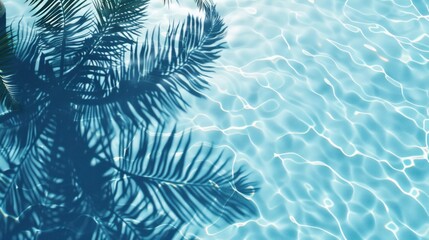 Wall Mural - Palm Tree Shadow on Blue Water