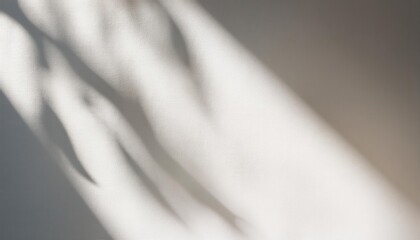 Poster - Soft Sunlight Casting Gentle Shadows on Textured White Wall. Minimalist Natural Lighting Effect Creating Calm and Serene Atmosphere with Smooth Transition from Light to Shade. Background For Product 